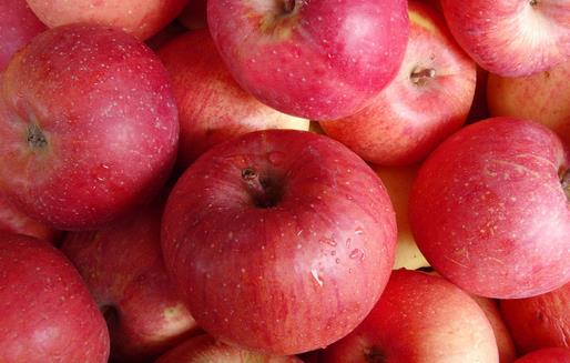 盤點十種適合秋季養(yǎng)生的蔬果