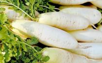 冬季吃什么美白？冬季美白食物推薦