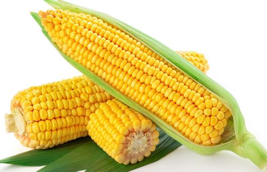 每逢佳節胖三斤?十種刮油食物越吃越瘦