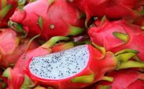 眼疲勞吃什么好？6種緩解眼睛疲勞的水果推薦