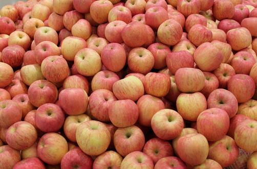 孕婦吃什么能促進胎兒大腦發育?