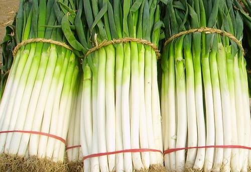 哪些食物有壯陽的功效?3款養生菜堪比壯陽藥