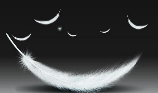 羽絨和羽絨棉應該怎么區分？