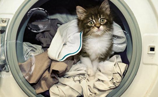 家里亂糟糟?教你收納你的衣服鞋子!