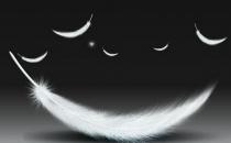 羽絨和羽絨棉應該怎么區分？