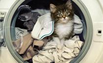 家里亂糟糟？教你收納你的衣服鞋子！