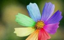 秋季最時(shí)尚的搭配你都會(huì)嗎？