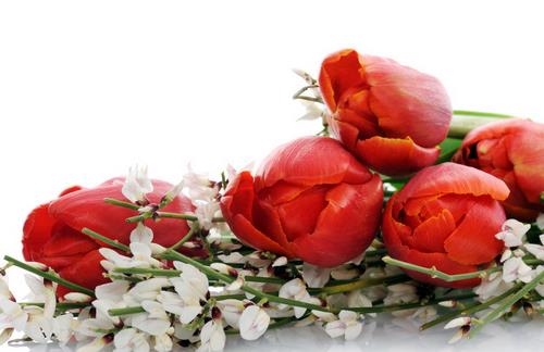 巧用鮮花打造水嫩美肌的美容護(hù)膚小竅門