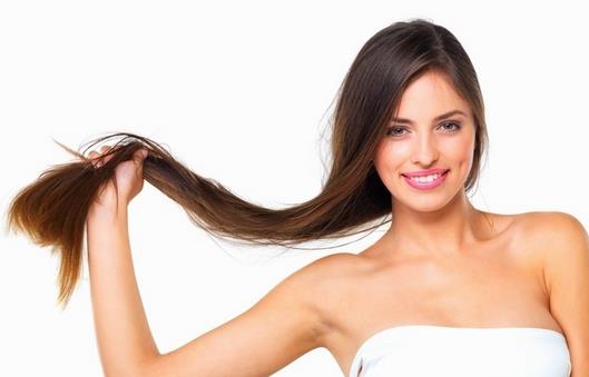 毛發移植的供體在哪里？