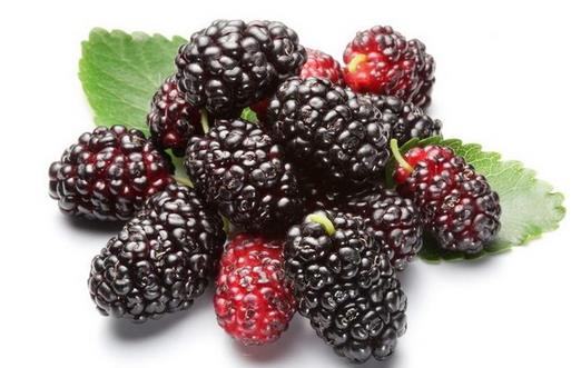 四大生發食譜 還你美麗秀發