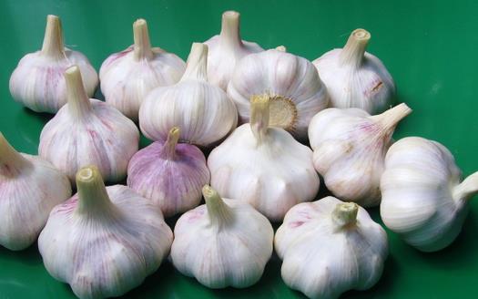 大蒜是美容圣品 除皺祛痘消妊娠紋