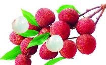 皮膚過敏怎么辦？7種抗過敏天然食物