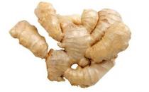 盤點那些美容養顏菜 你有在吃嗎？