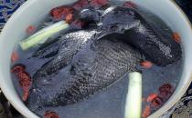 烏雞營養價值高 女性怎么吃最養顏