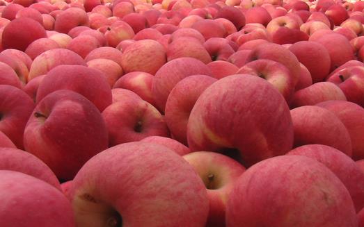 節后應清腸胃 9款排毒清腸食物推薦