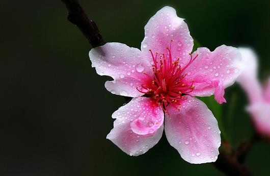 祛斑秘方,拯救斑點臉蛋