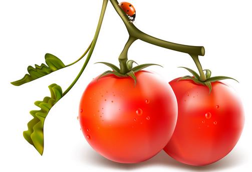 曝光膠原蛋白內幕 教你怎么吃能逆齡