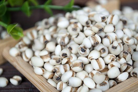 薏仁的功效與作用 薏仁能祛痘嗎