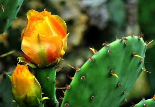 愛美女性須知：祛痘新方法
