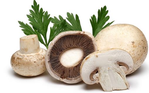 6種超高蛋白食物 拯救各種問題肌膚