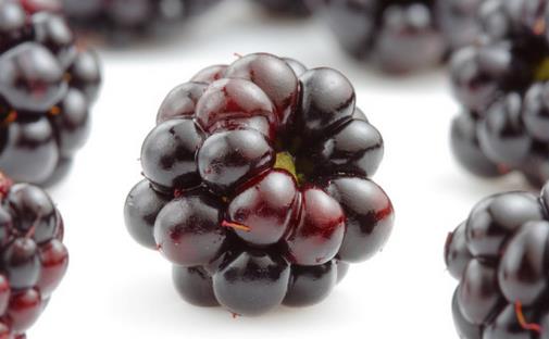 桑葚有什么功效?盤點桑葚的營養(yǎng)與功效