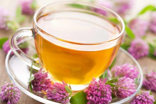 老人高血壓?五款保健茶能有效對抗壓