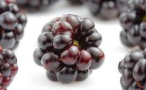 桑葚有什么功效？盤點桑葚的營養(yǎng)與功效