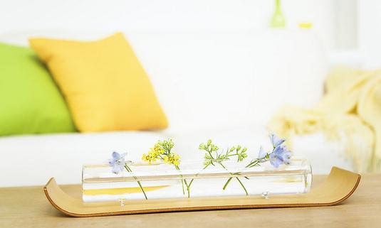 家庭里綠色滅蟑螂的妙招