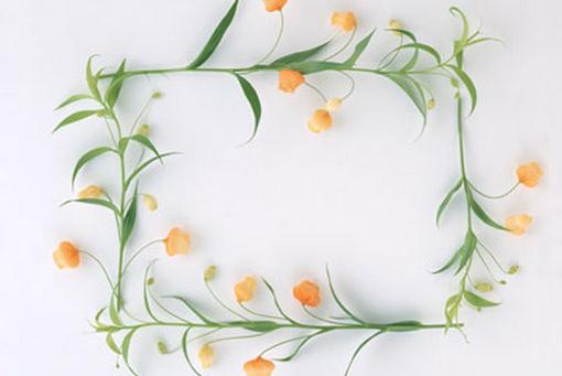 你看后會收藏的生活小妙招