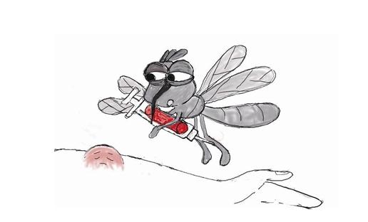 用八角洗澡能有效防蚊哦!