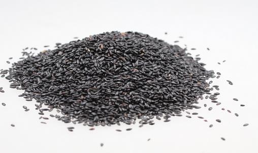 補腎健脾黑米食譜