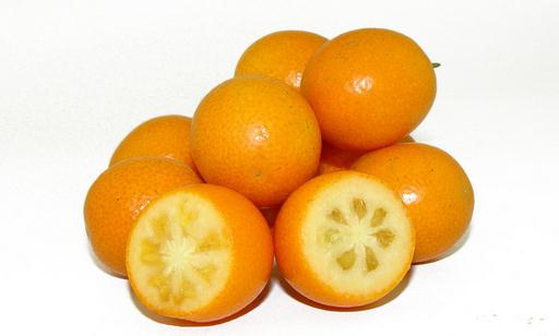 金桔富含營養(yǎng) 果皮果肉均可吃