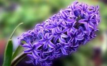 這樣做你的生活更美妙！