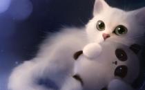 貓糧的選購技巧 給貓咪吃什么最好？