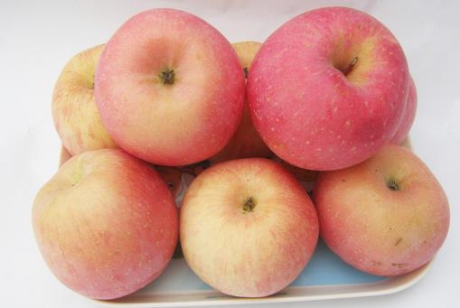 過敏吃什么好？7種春季抗過敏食物推薦