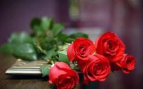 養(yǎng)花的土壤應(yīng)該用什么？