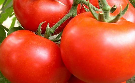 推薦:最養(yǎng)男人的12種食物