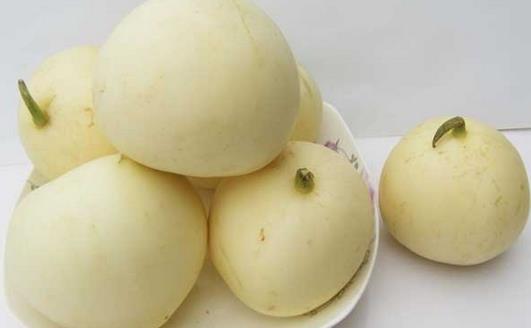 甜瓜的選購(gòu)要點(diǎn)有哪些?