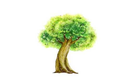 榕樹是怎樣的？怎么識別榕樹？