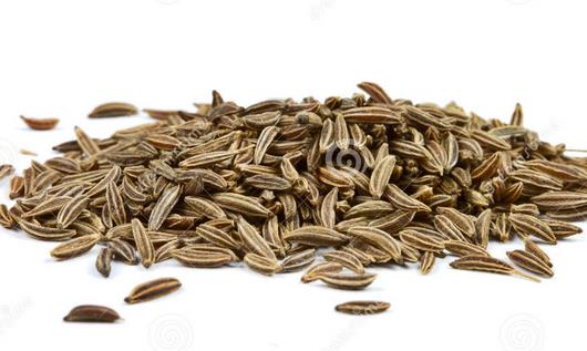 茴香勝過補(bǔ)藥 能防6種病