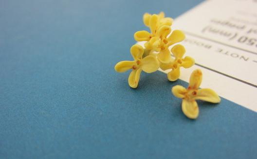 桂花的品種有哪些?