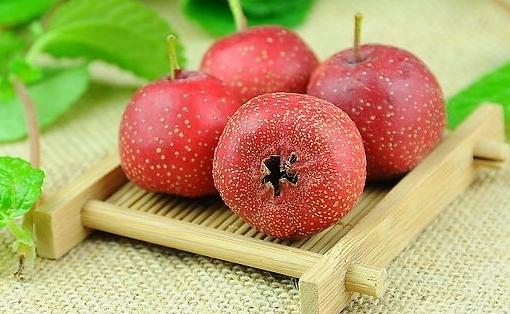 山楂可活血化瘀 有助抗癌降壓治痛經(jīng)