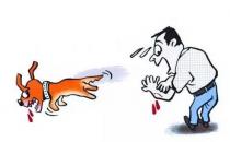 狂犬病的急救常識你知道嗎？