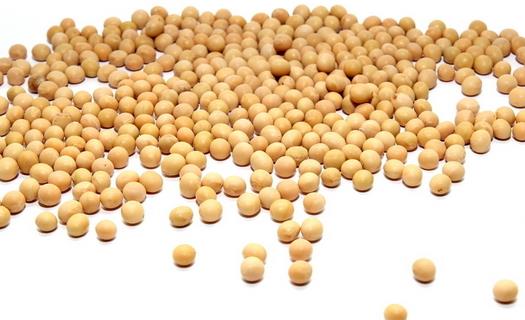 女性春季養生必吃食物 你吃了嗎?