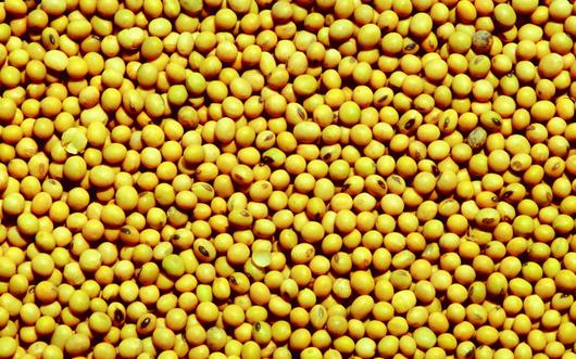 春季女性養生的四大黃金食物