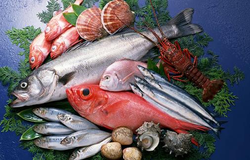 有傷口真的不能吃發物嗎