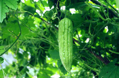 手術后這樣吃加速傷口愈合