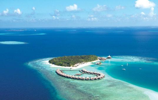 外出旅游要注意避開這些毒物!