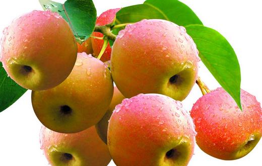 老人春季養生 這5種食物不能錯過