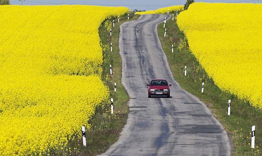 護(hù)照申請的審批有什么規(guī)定?